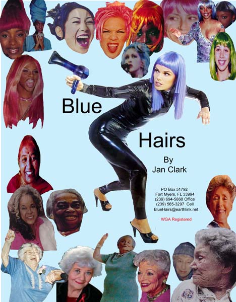 jan clark fort myers blue hairs artist writer whose shoe